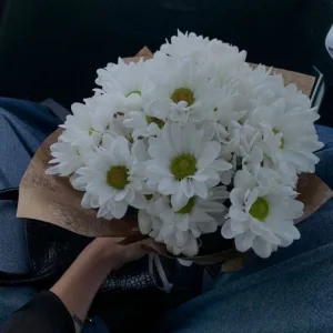 Chrysanthemum bouquet